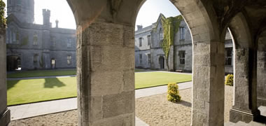 Quad in Sun