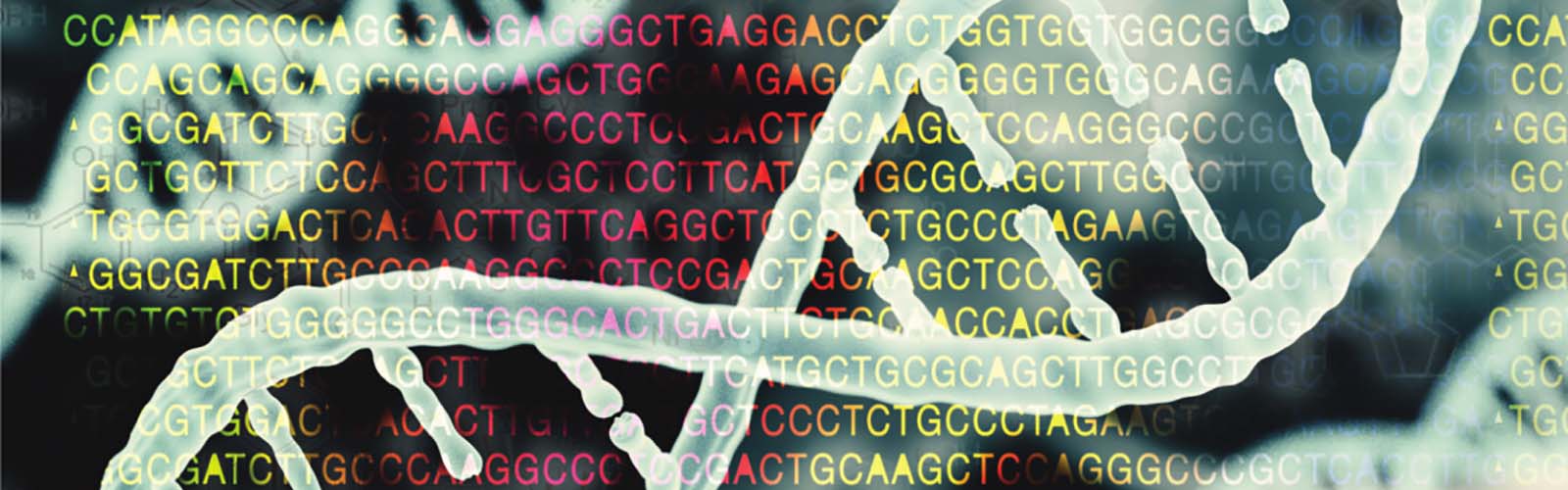 image of a gene code