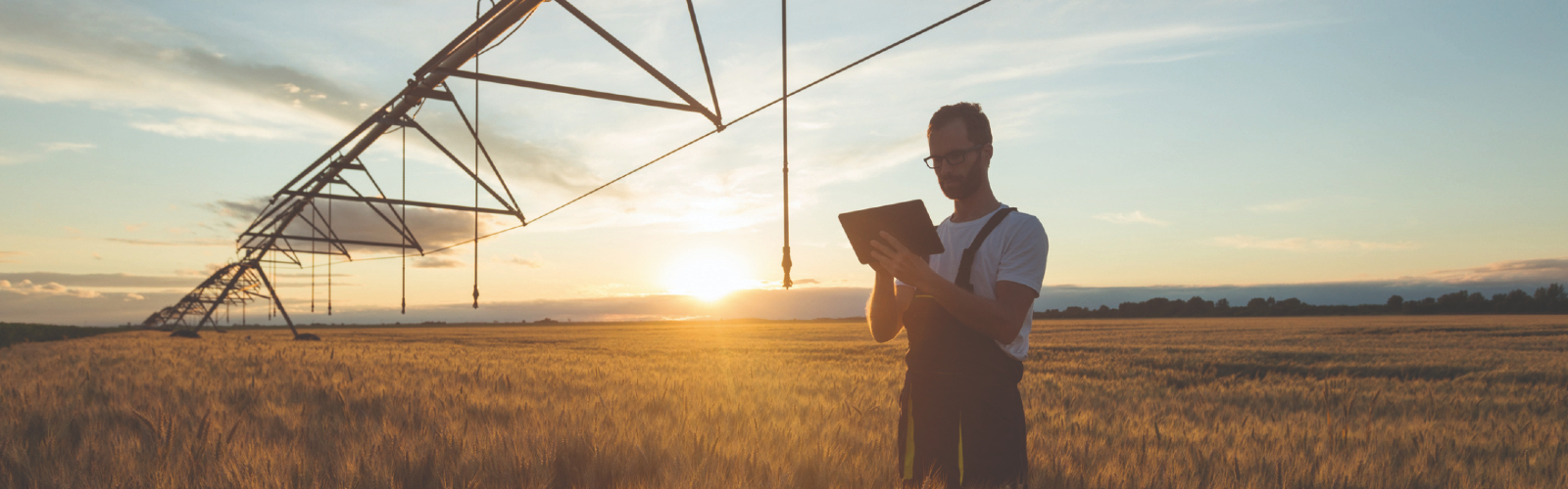 AgInnovation Banner_1- Desktop
