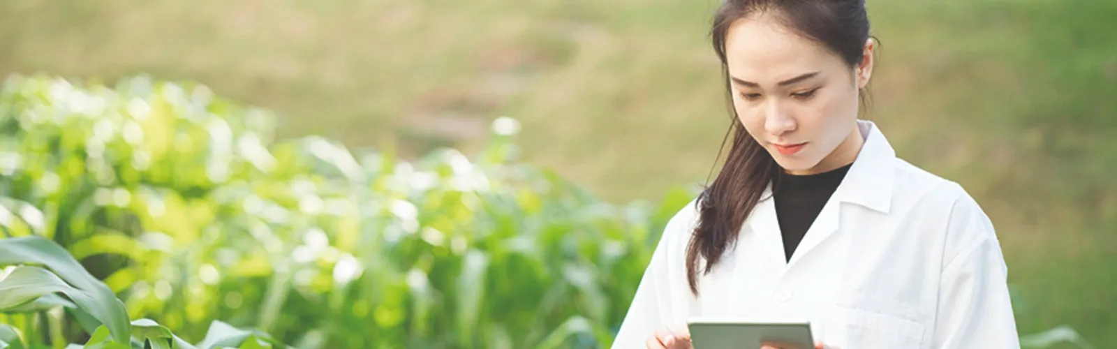 AgriFood Banner-Desktop