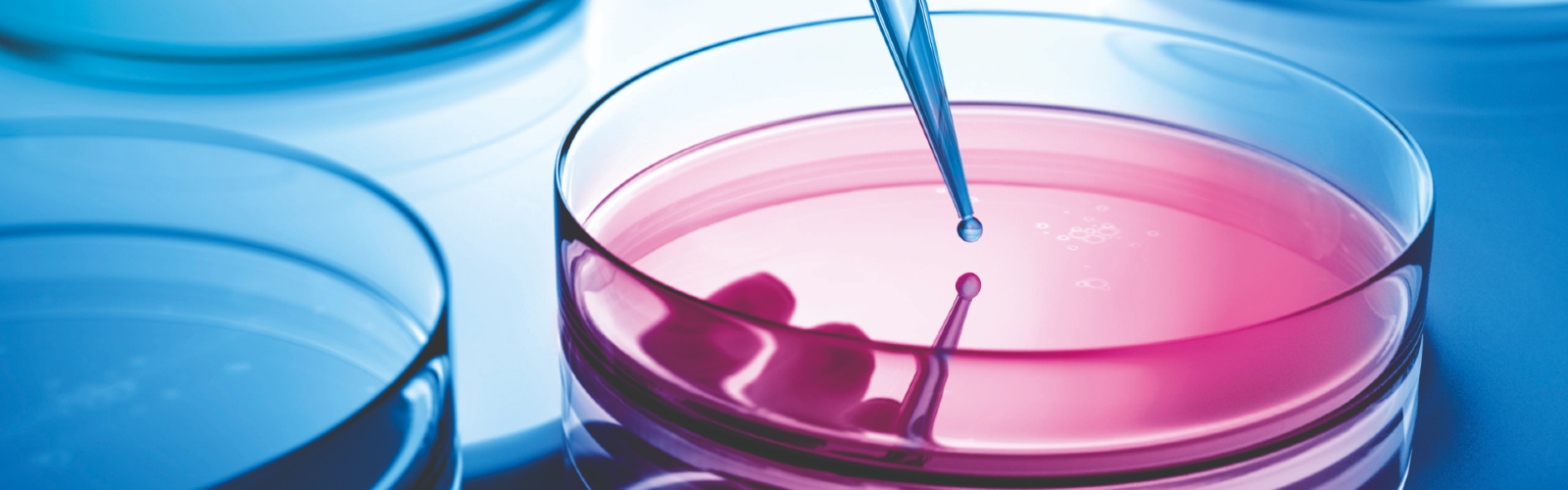Biotechnology Banner_2- Desktop