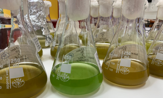Biotechnology Intro
