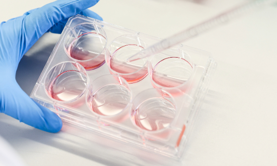 Cell Manufacturing Intro
