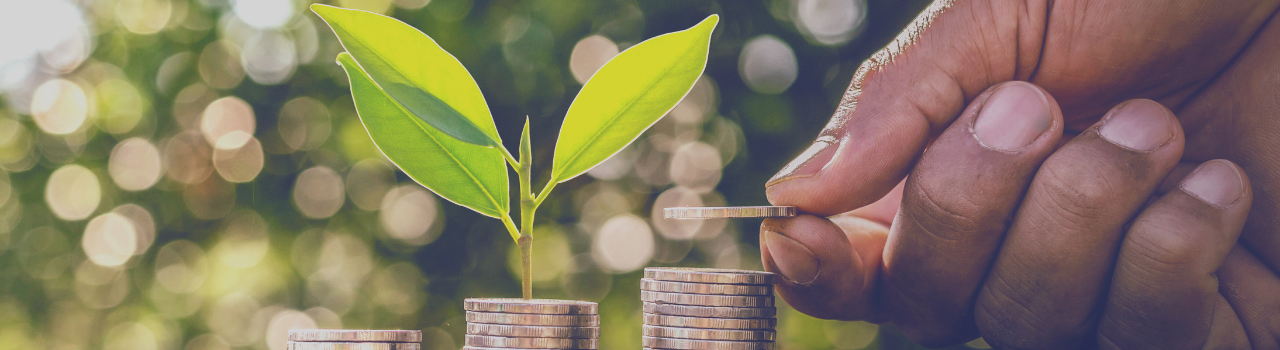 Global Environmental Economics Banner_1-Desktop