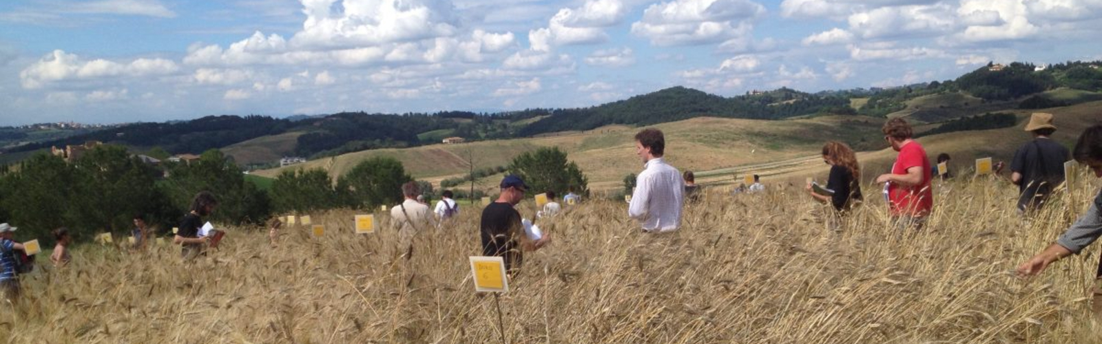 Climate Change Banner_1- Desktop