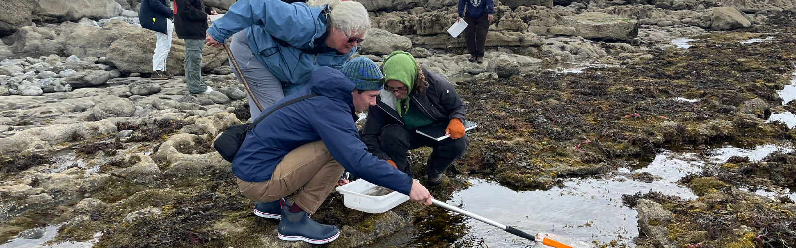 Ecology Banner_2- Desktop