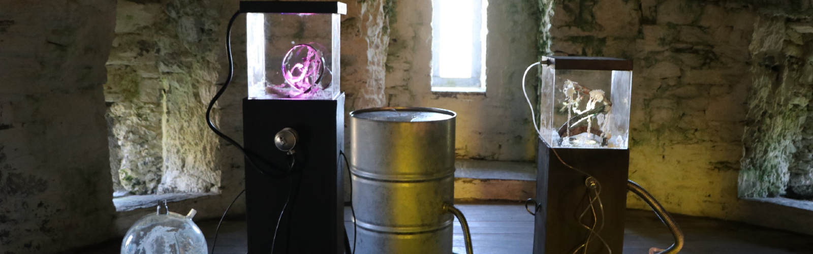 Ecology Banner_3- Desktop