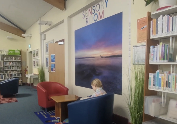 Library 715X500