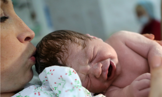 Midwifery Intro