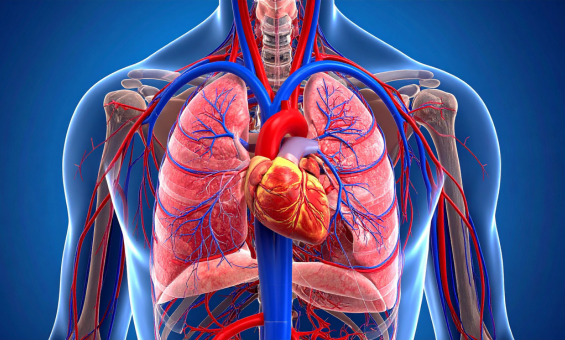 Pulmonary Rehabilitation Intro