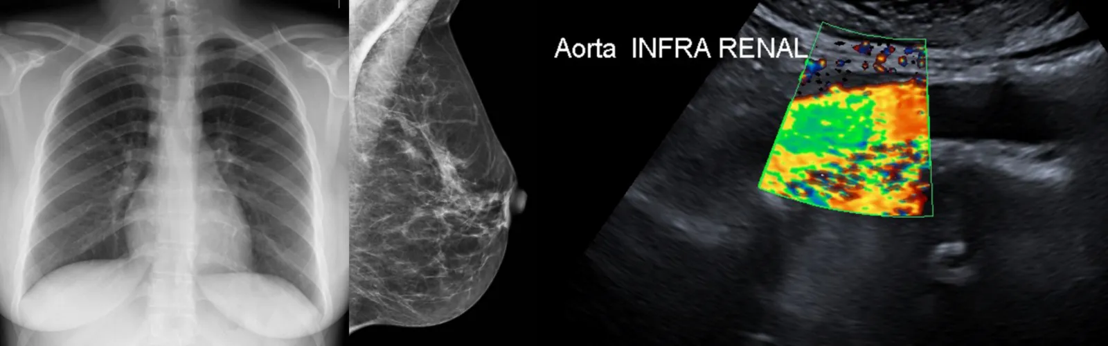 Radiology Banner_1- Desktop