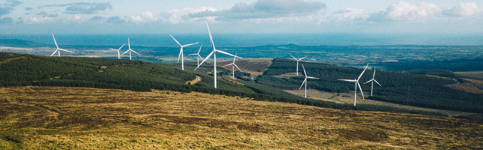 Wind Energy Banner- Desktop