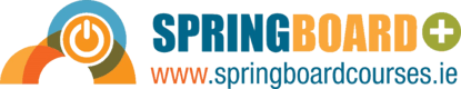 Springboard Banner x 80