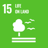 15. Life On Land SDG