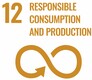 12. Responsible Consumption SDG