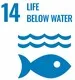 14. Life Below Water SDG