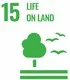 15. Life On Land SDG