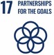 17. Partnerships SDG