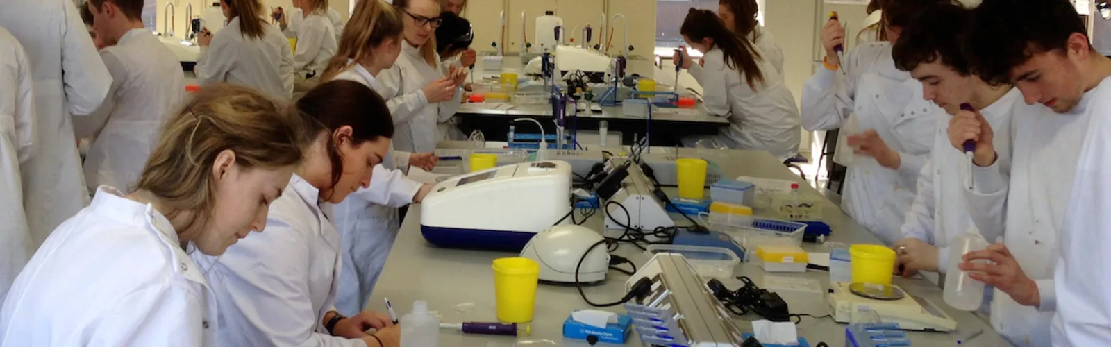 BSc BioTech Banner_1- Desktop