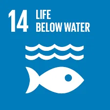 SDG 14 